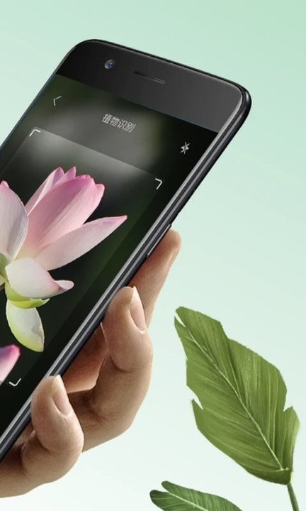 植物大师app手机版