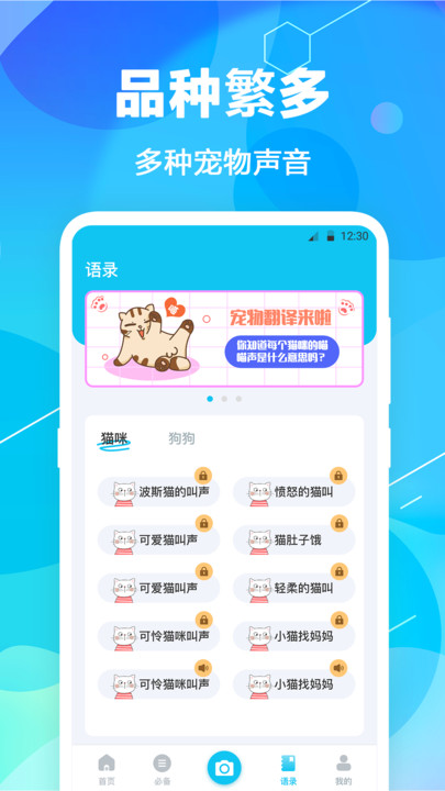 猫语翻译pet软件专业版